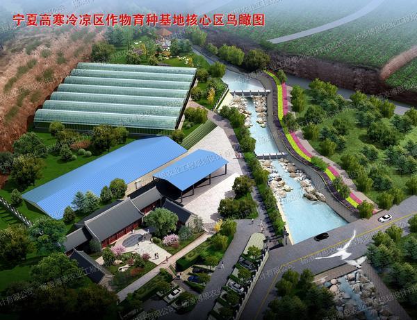 小鳥(niǎo)瞰定稿